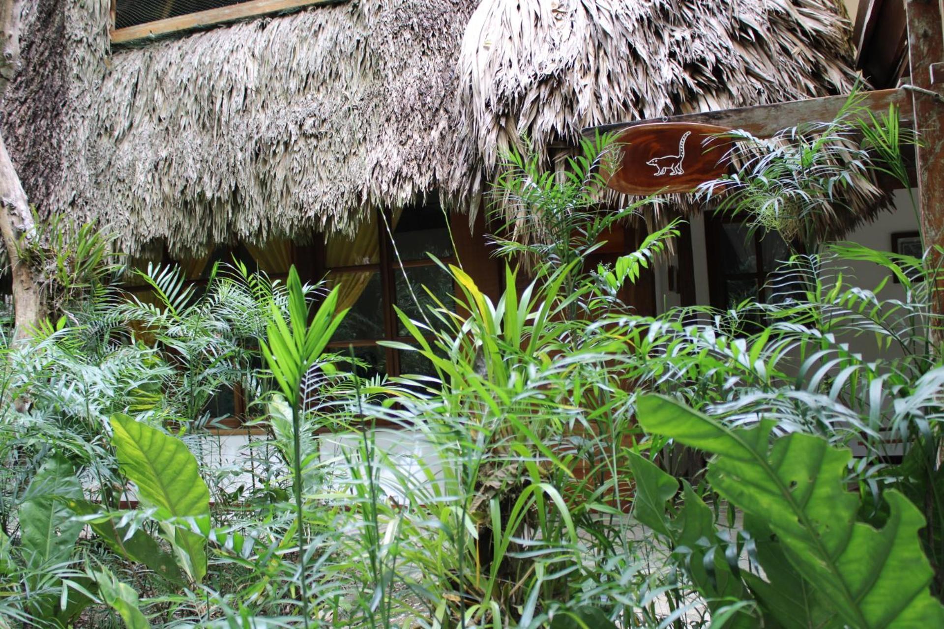 Posada Del Cerro เอล เรมาเต ภายนอก รูปภาพ