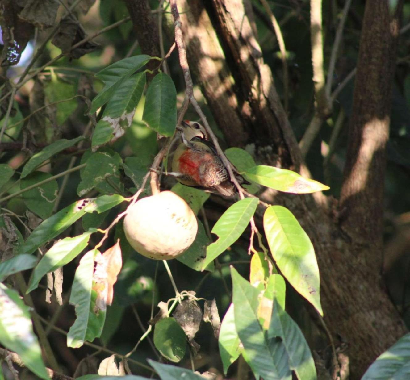 Posada Del Cerro เอล เรมาเต ภายนอก รูปภาพ