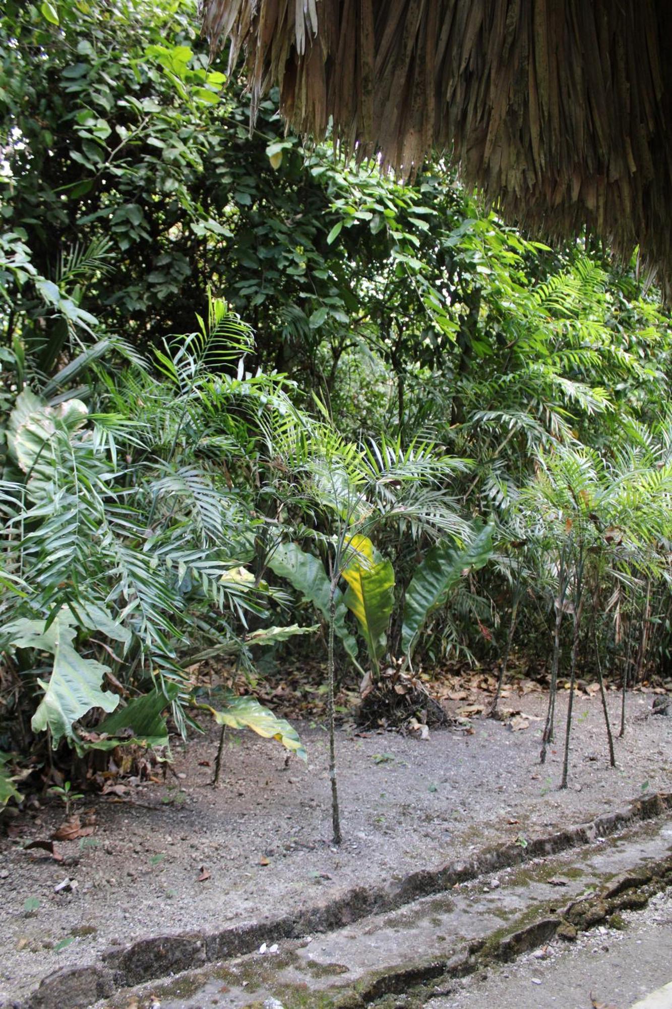 Posada Del Cerro เอล เรมาเต ภายนอก รูปภาพ