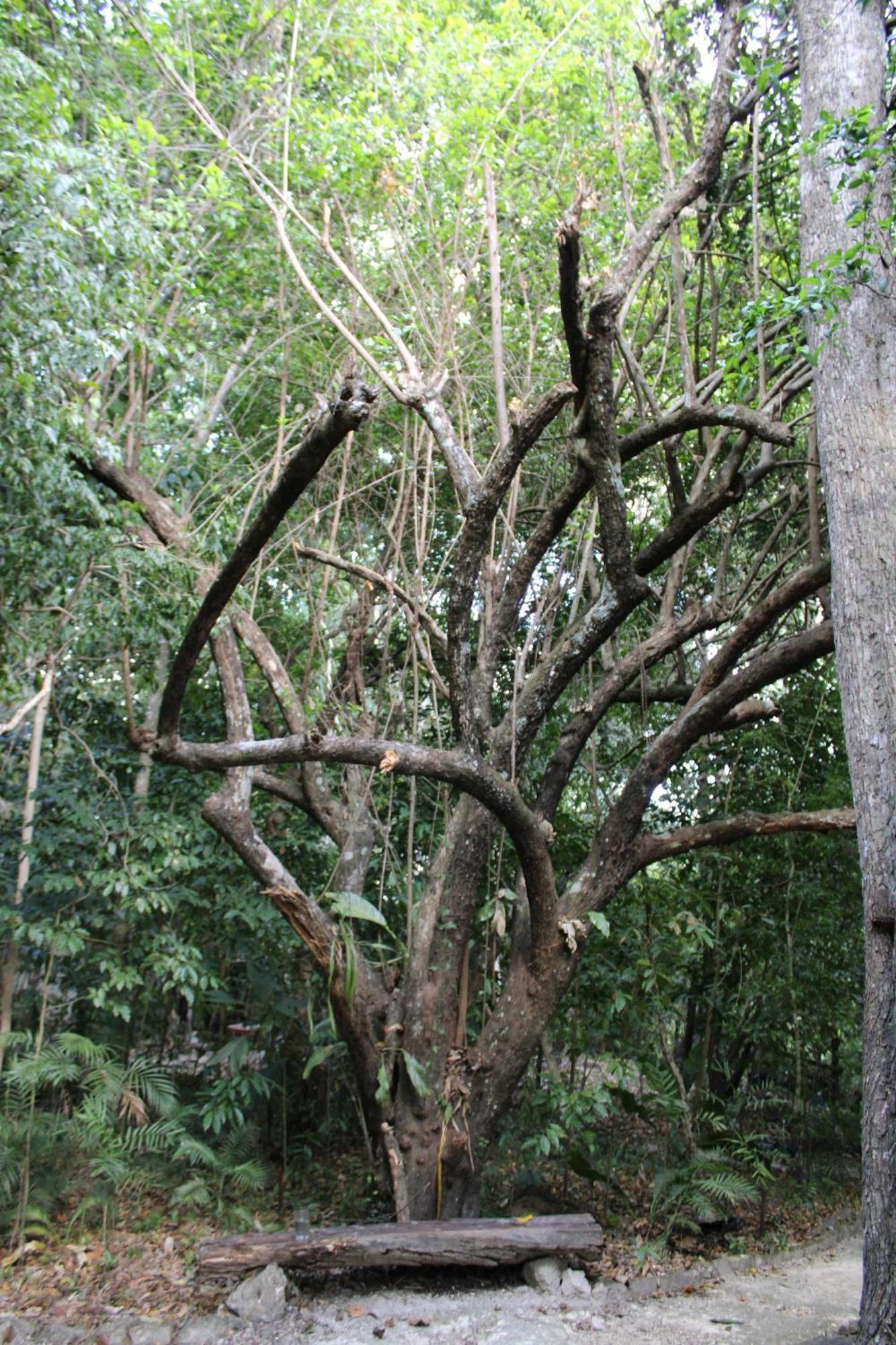 Posada Del Cerro เอล เรมาเต ภายนอก รูปภาพ