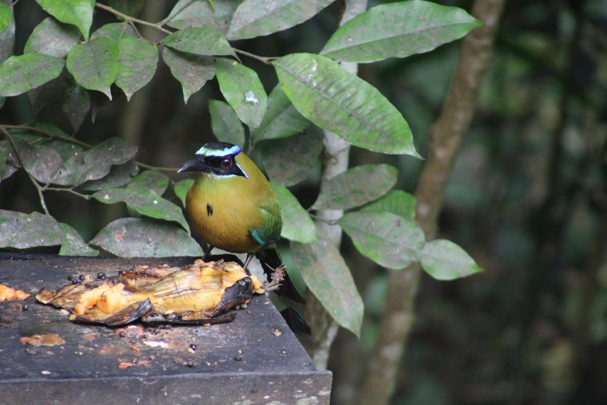 Posada Del Cerro เอล เรมาเต ภายนอก รูปภาพ