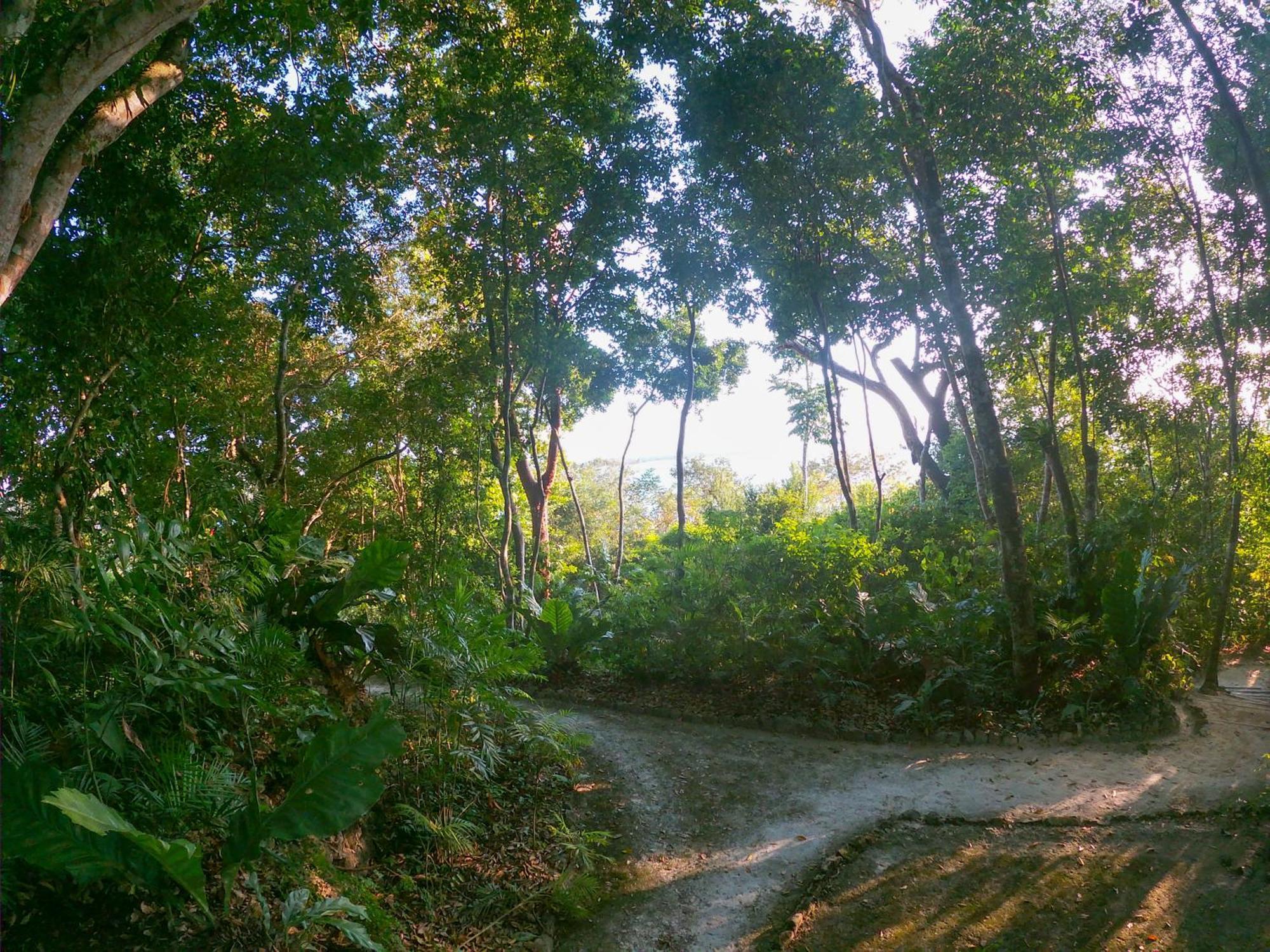 Posada Del Cerro เอล เรมาเต ภายนอก รูปภาพ